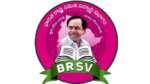voiceofyouth-brsv.online